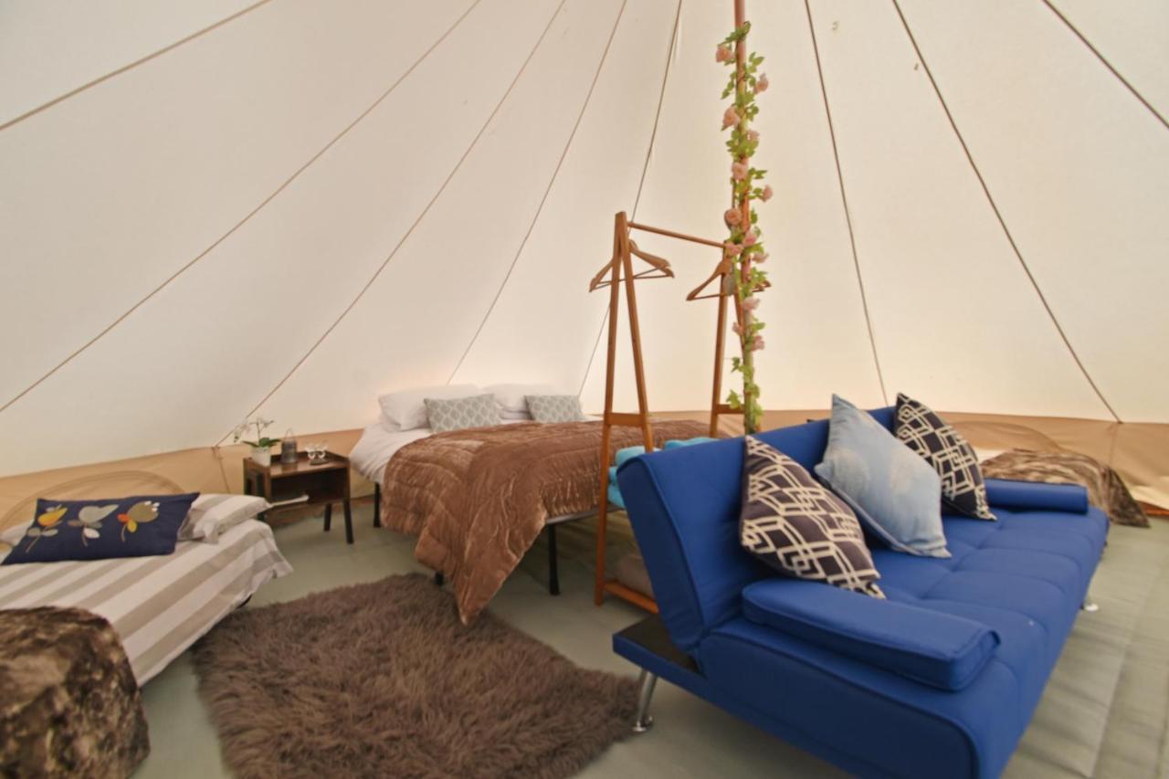 Quex Livery Glamping Берчингтон Экстерьер фото