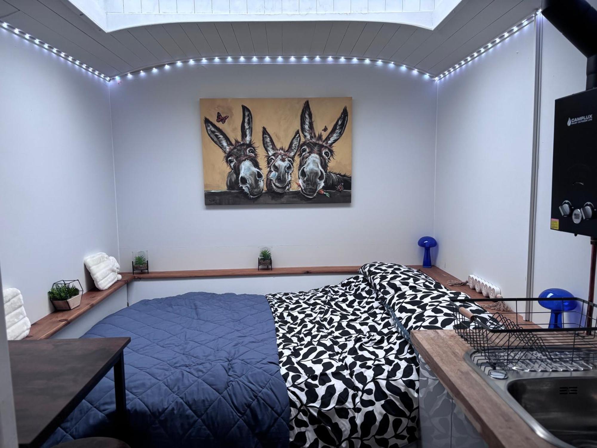 Quex Livery Glamping Берчингтон Экстерьер фото
